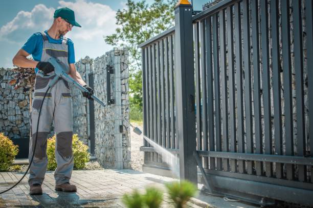 Best Solar Panel Cleaning  in Ithaca, MI
